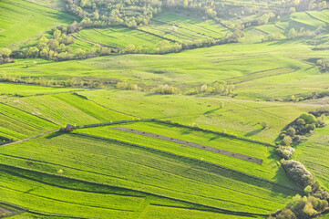 Fototapeta na wymiar Agriculture fields in spring, aerial view in a sunny day. Agriculture and farming industry.