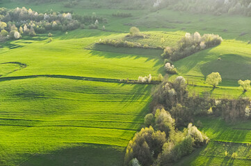Obraz premium Agriculture fields in spring, aerial view in a sunny day. Agriculture and farming industry.