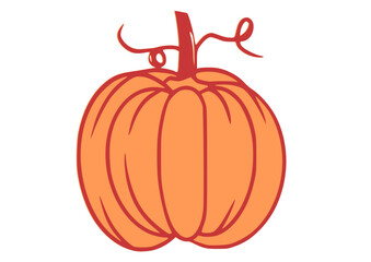 pumpkin on a white background