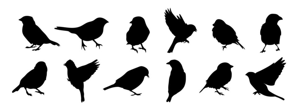A set of silhouettes of sparrows. Vector elements for design
