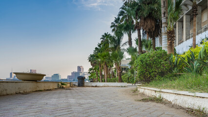 Pedestrian sidewalk on the Nile embankment. Palm trees stand in a row. Ornamental plants on the roadside. In the distance, against the blue sky, the high-rise buildings of Cairo are visible. Egypt