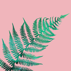 Watercolor illustration of a fern. Decorative background of leaves and branches of a shrub of a polypodiophyte plant.