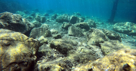 Underwater world of Mediterranean Sea. Near Marmaris, Turkey