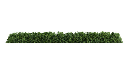 3D Green grass and bushes isolated on white background