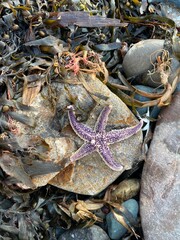 colored stones on the sea