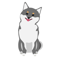 笑顔で首をかしげておすわりする黒柴