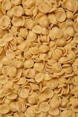 pasta concept a lot of the dry circle, shape of ears-like orecchiette pasta put down together