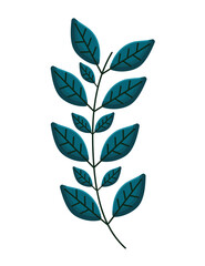 blue leaves branch