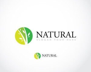 Nature symbol creative organic concept. Bio health care herbal abstract business eco logo. Fresh food, circle pack, beauty flora, pharmacy icon.