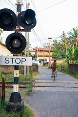 man on bicycle crossing railroad in sri lanka