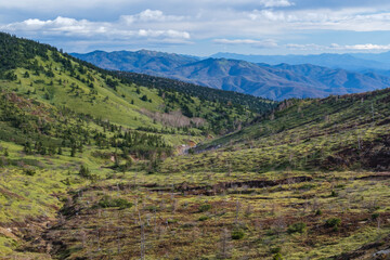 Naklejka premium 志賀高原の紅葉