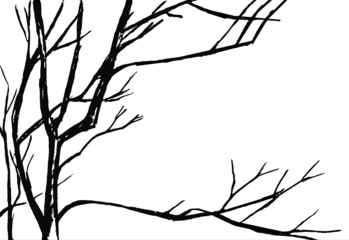 Black bare tree branches on a white background - graphic image