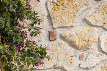 Stone wall with bright green leaves along the contour. Mockup for design with beautiful leaves