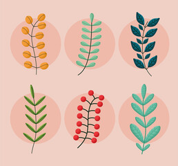 six flowers branches