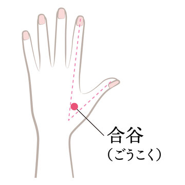 手のツボ　合谷