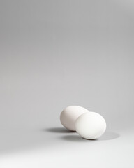 white egg on a white background