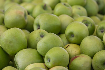 Green apples background. Fresh apples variety grown in the shop. Apple suitable for juice, strudel, apple puree, compote