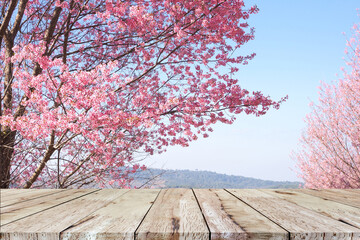 Naklejka na ściany i meble Empty brown wood table for display product and beautiful pink sakura flower with blue sky background.