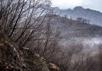 Alpine meadow highlands in fog, cloudy weather. River Moraca, canyon Platije. Beautiful Canyon of...