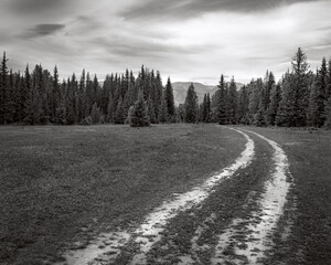 The black and white landcape of field and country road with forest and mountains background