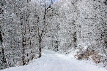 a road covered with snow through the forest