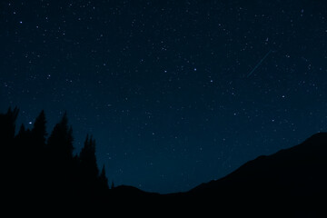 Fototapeta na wymiar Blue night sky with many stars and trees silhouettes background.