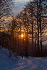 Obraz premium tourists on a road in the woods on a winter evening