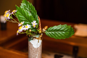 butterfly on a flower