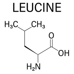 Leucine or l-leucine, Leu, L amino acid molecule. Skeletal formula.