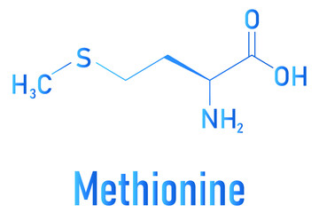 Methionine or l-methionine, Met, M amino acid molecule. Skeletal formula.