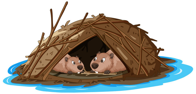 Beavers living in a dam in cartoon style