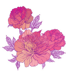 Beautiful peony bouquet design on beige background. Hand drawn vector illustration.