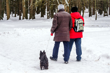 Two elderly men walk with a dog in a winter park