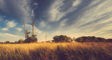 Fototapeta premium Countryside Landscape 6