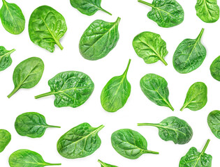 Spinach Pattern. Fresh Spinach baby leaves isolated on white background. Top view. Flat lay..