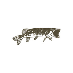 Pike fish silhouette vector illustration. Design for fishing club or team as well as seafood