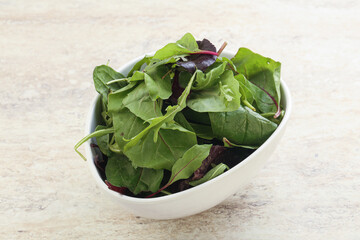 Vegetarian mix green vitamin salad