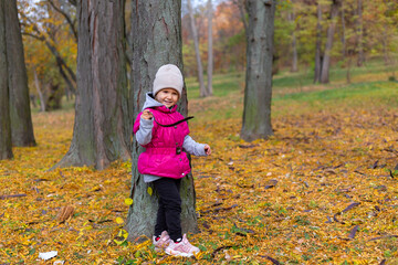 Happy little girl in the park. Autumn season.