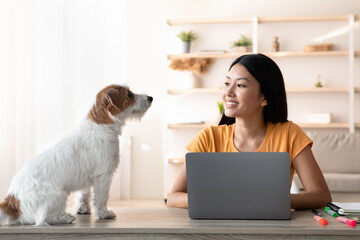 Asian woman freelancer talking to dog while working online