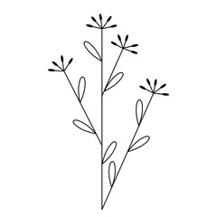 illustration of a branch with leaves