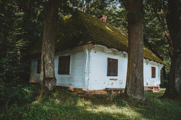 drewniany dom w lesie - obrazy, fototapety, plakaty