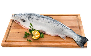 salmon in studio