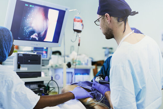 Performing a delicate image guided surgery. Shot of a looking at an image on a monitor during a medical procedure.