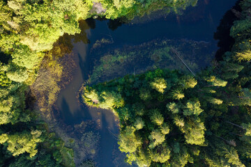 River and green forest aerial view
