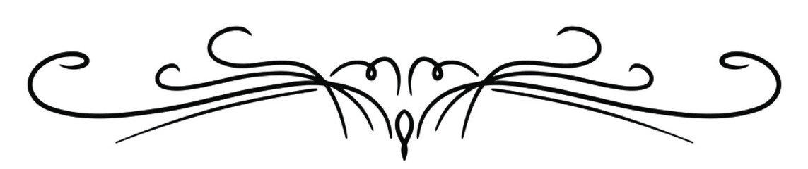 Calligraphy ornament line. Calligraphic text divider, border, separator decor design. Antique vintage victorian elegant decoration element. Filigree frame ornament line. Hand drawn vector illustration