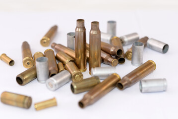 empty shells on white background