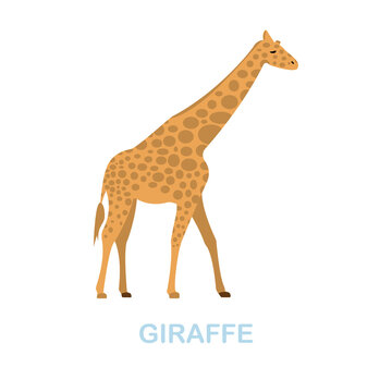 Giraffe flat icon. Colored element sign from wild animals collection. Flat Giraffe icon sign for web design, infographics and more.