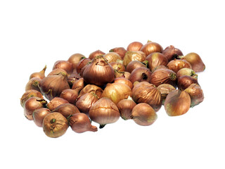 Full of Sweet Onions Isolated on White
