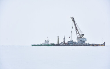 Fototapeta na wymiar marine crane on the ice of a frozen bay