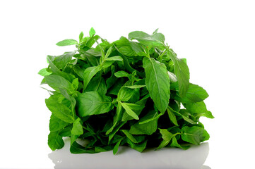 Fresh Mint on White Background